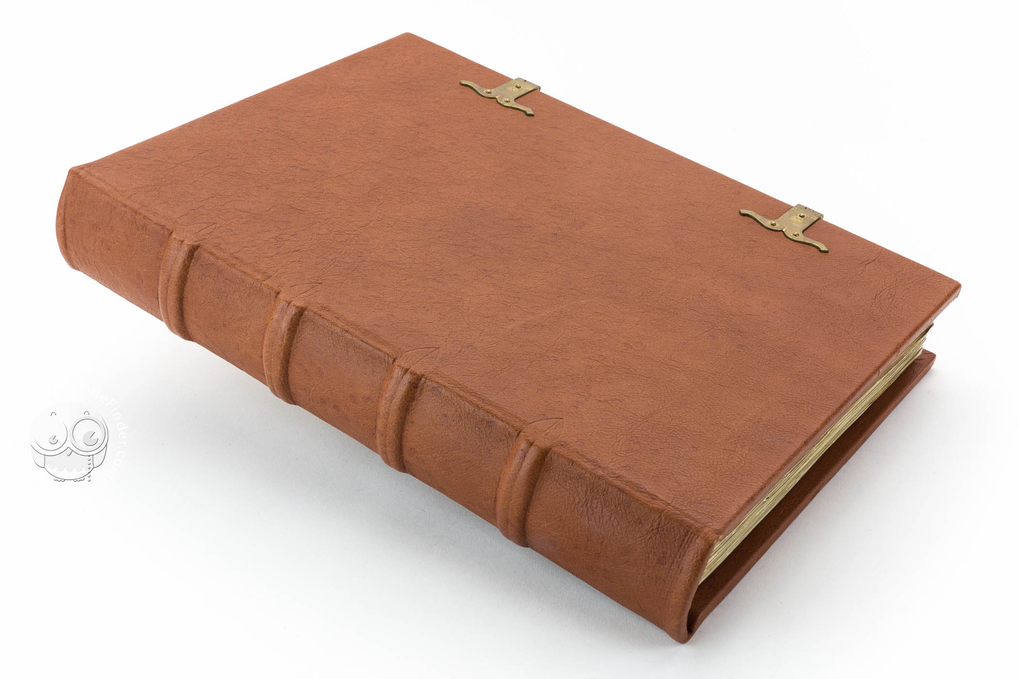 Book of the World: The Saxon World Chronicle - Image 2