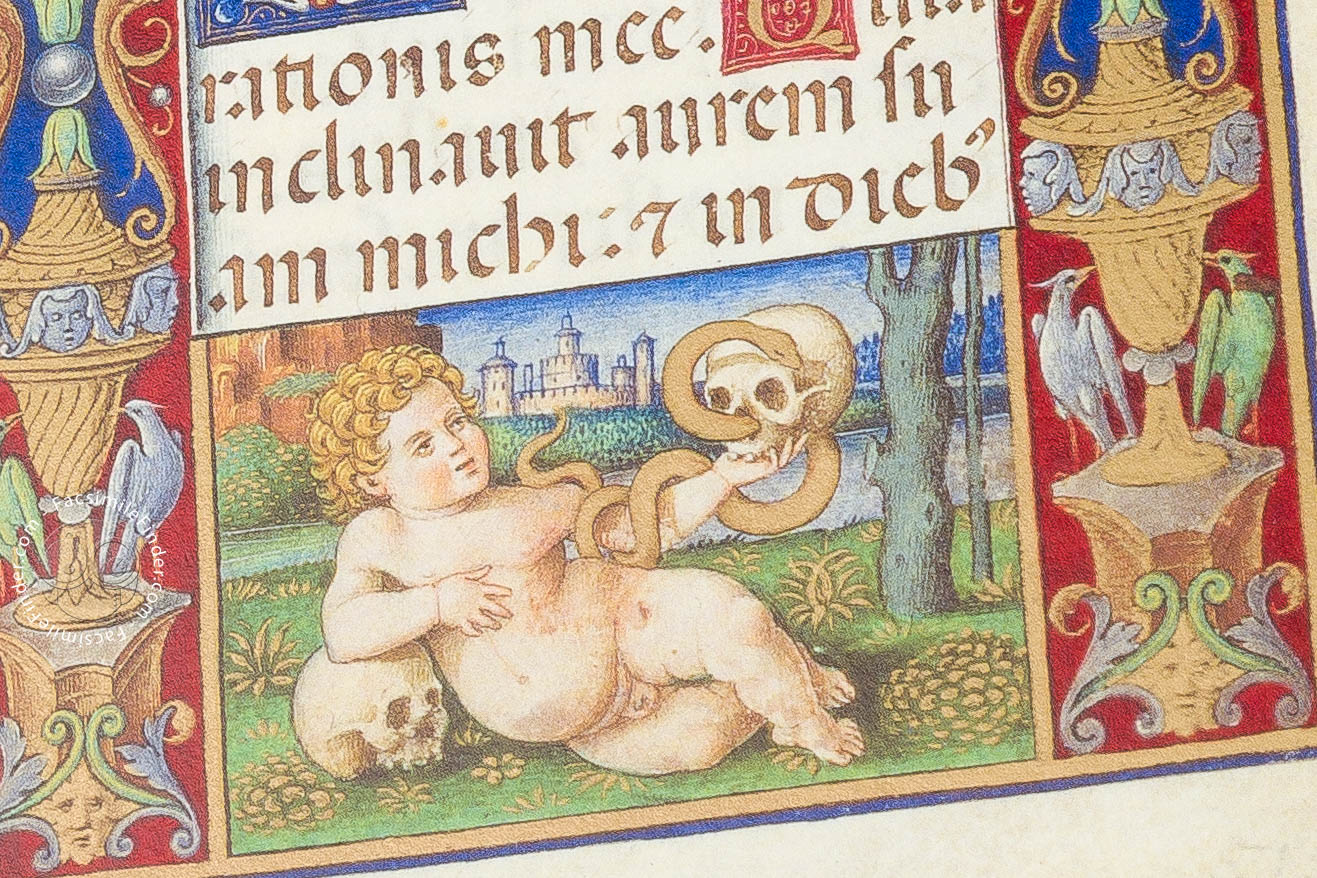 Sforza Hours (set of 4) - Image 4